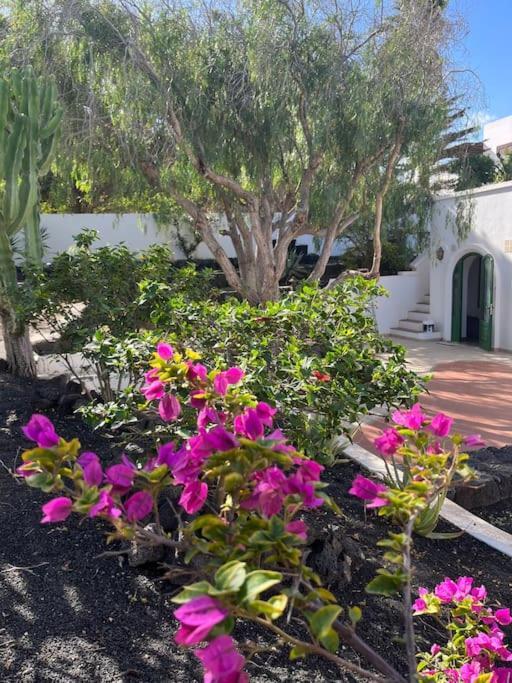 Apartmán Casa Chili Costa Teguise Exteriér fotografie
